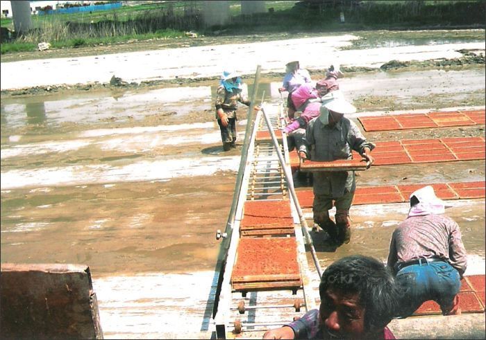 부원 알루미늄<b>묘판</b><b>이송기</b> TK-3050(연결용) 사진2