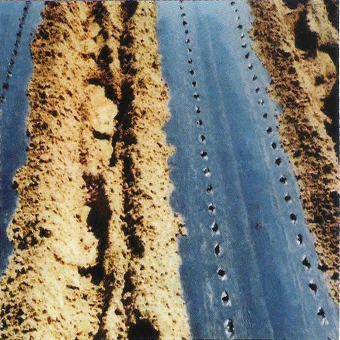 아신산업 다용도파종기 ASR-4RK(4조식:알루미늄 프레임) 사진3