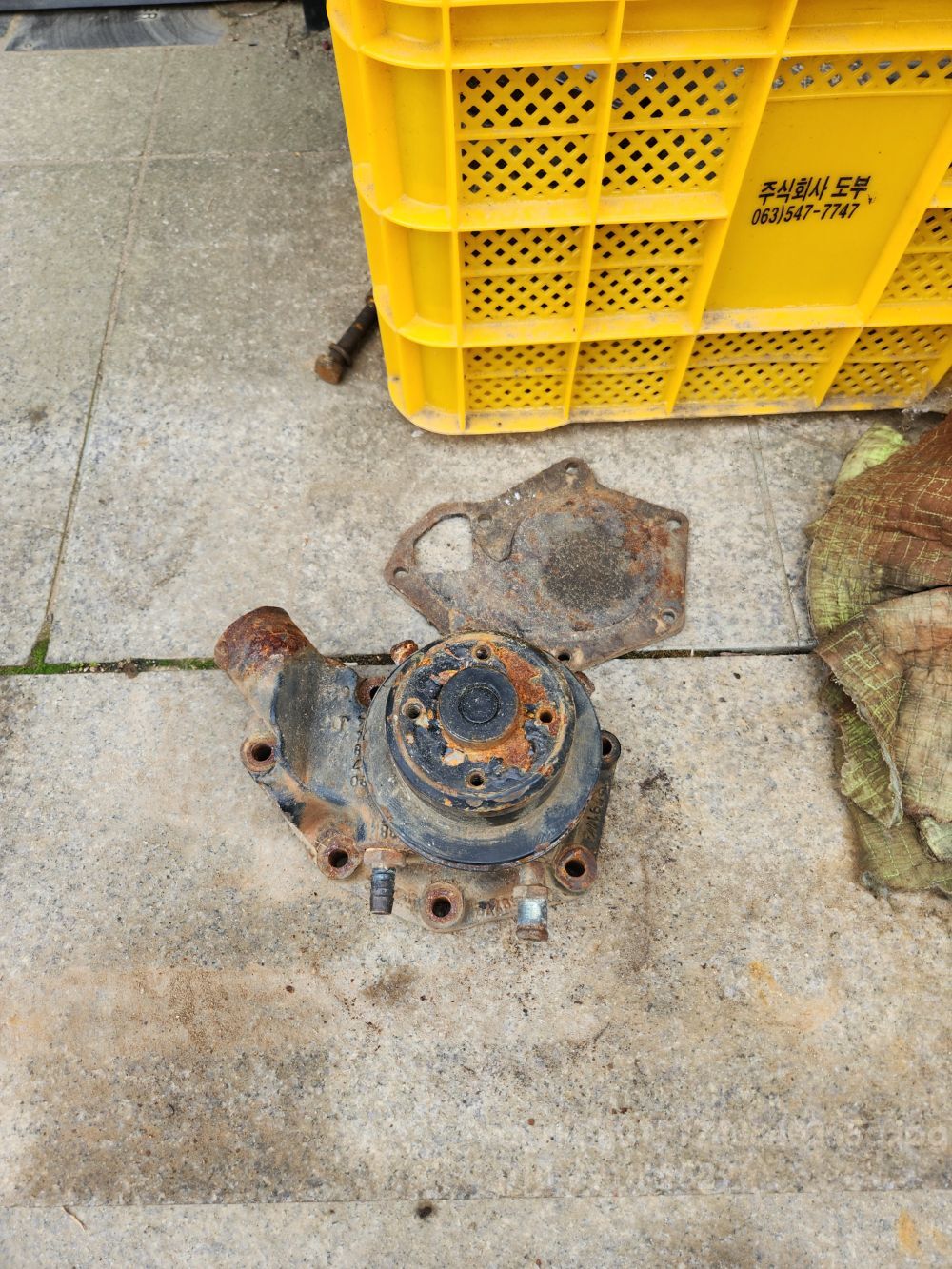 TYM 트랙터 T550 (55마력)