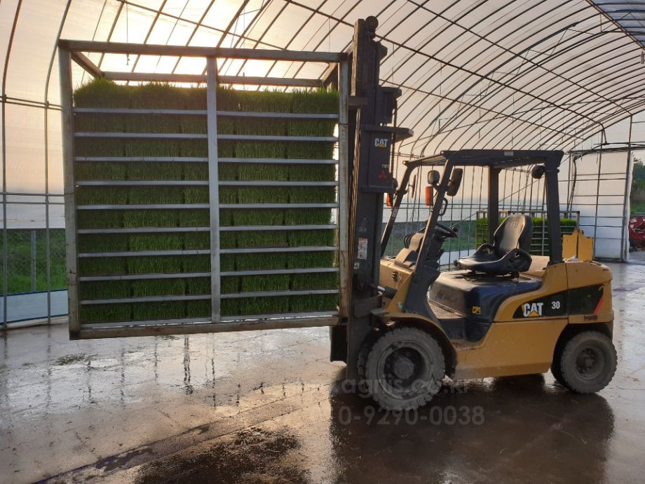  모판이송기 묘판이송기 