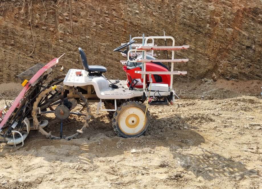 Kukje Rice transplanter RGO-6 (6Rows) Assy 작동됩니다. 사진2