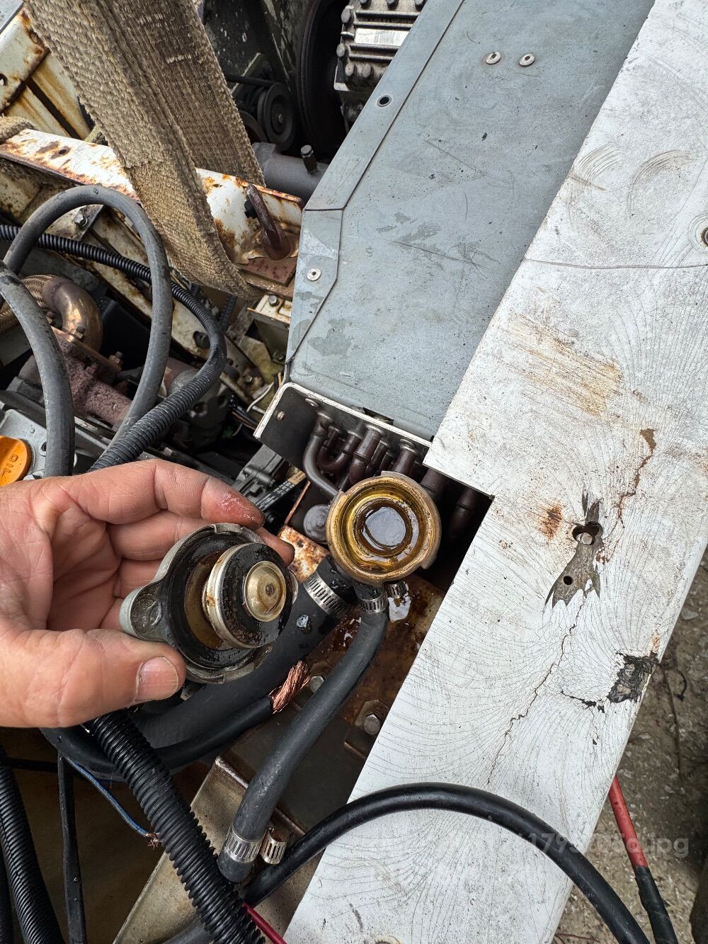 얀마   뒤우측면