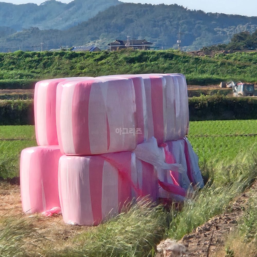    뒤우측면