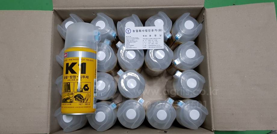   뿌리는 그리스  뒤우측면