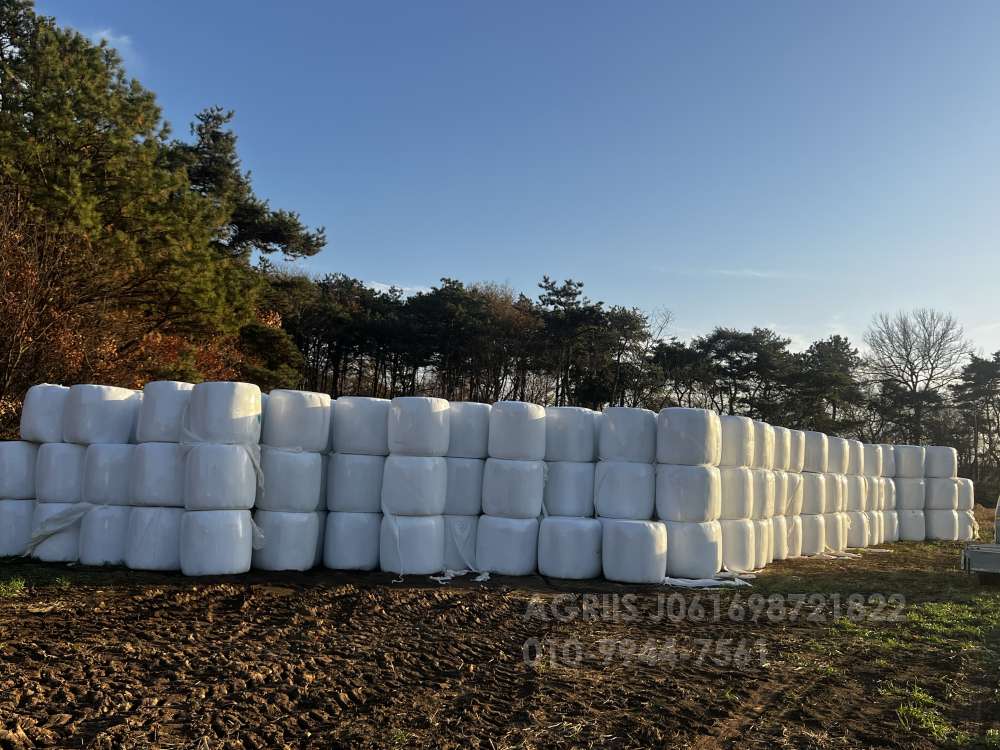     원형 볏짚 사진2