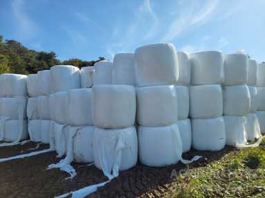     원형볏짚 사진1