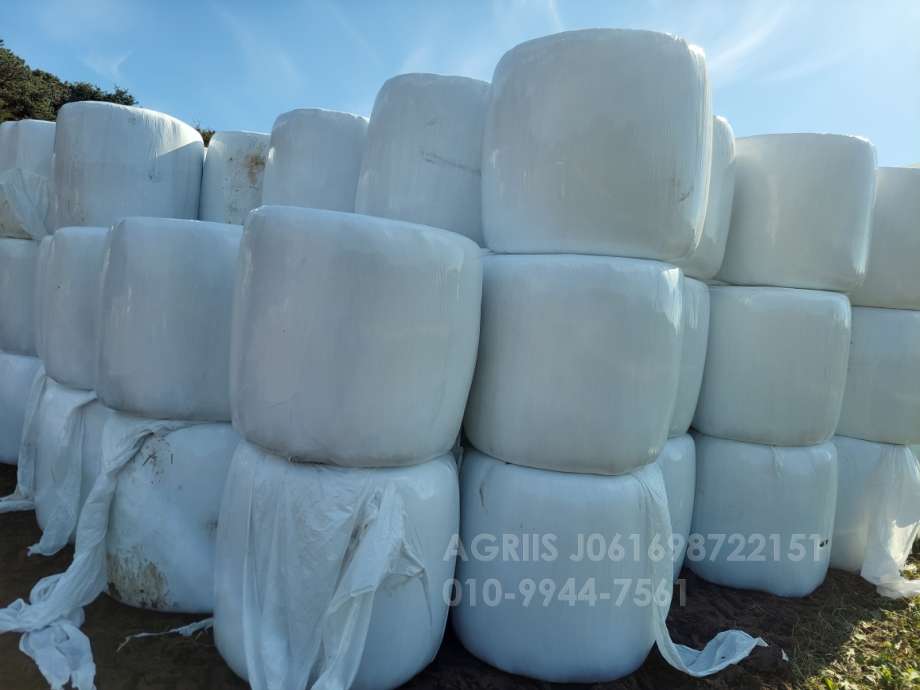     원형볏짚 사진2