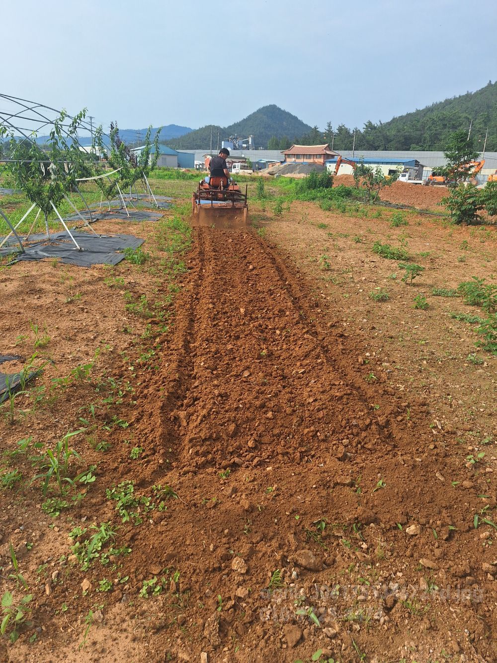 Daedong Tractor  (16hp) 트랙터 사진2