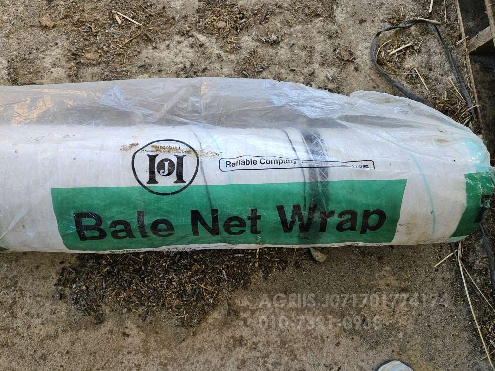    베일러 끈 사진2