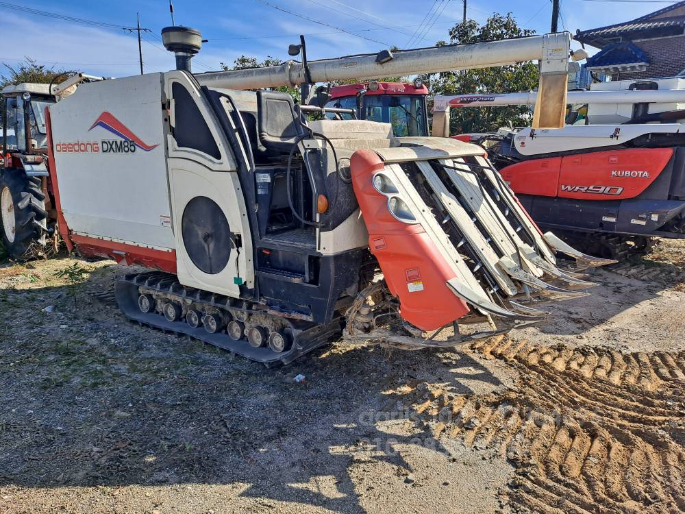 Daedong Combine Harvester DXM85G (5Rows)
