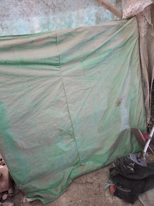 Daedong Rice transplanter 이앙기  햇빛가리개