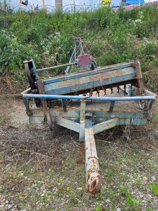 구보다 고구마순치기 고구마순치기