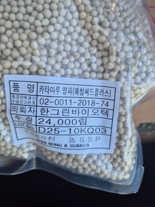 일본 카타만루양파종자 양파종자씨