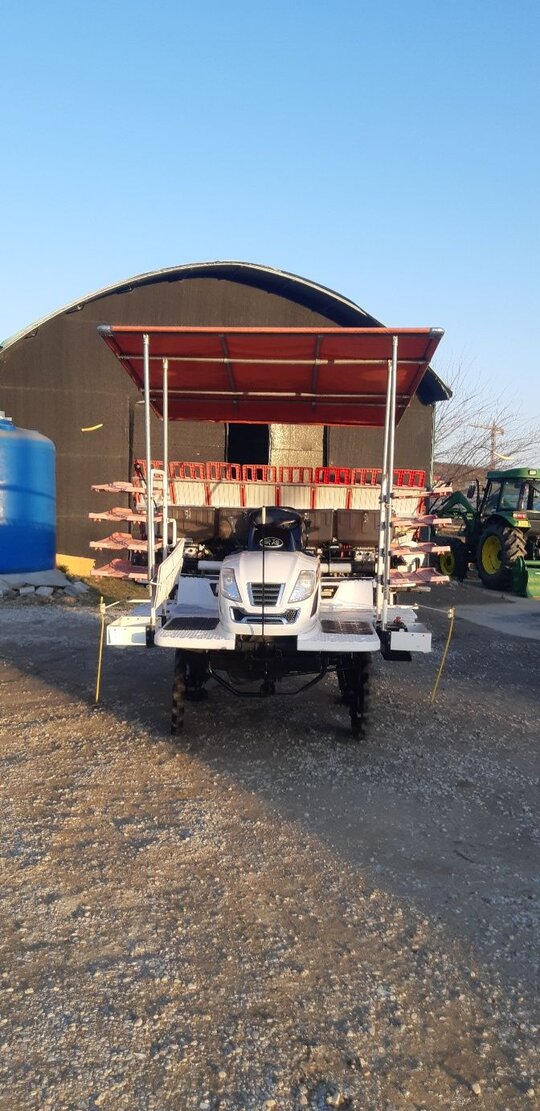 국제 이앙기 RGO-80SD (8조식)