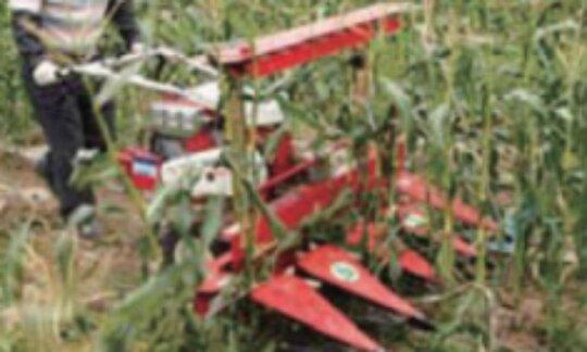 태광공업 관리기 용 옥수수예취기 TR-1200C (6.5마력)