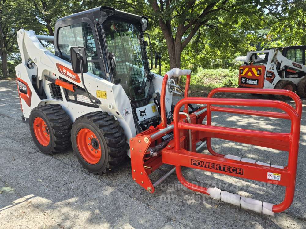  베일집게 베일집게