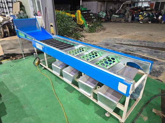  감귤선별기 선별기 