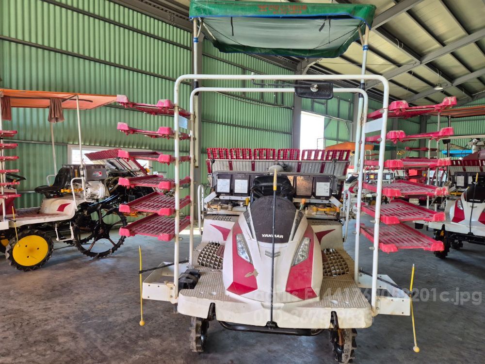 얀마 이앙기 YR6DZ (6조식)