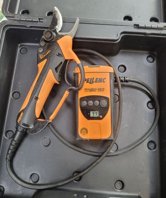 프랑스팰랭 전동가위 비니온 150