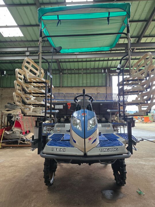 TYM 이앙기 NP80 (8조식)