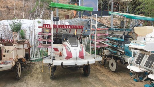 Yanmar Rice transplanter YR6D (6Rows)