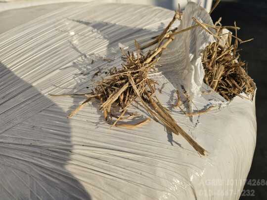  퇴비용 볏짚 콤바인 절단 퇴비용 볏짚