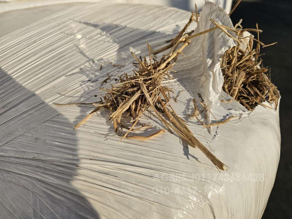  퇴비용 볏짚 콤바인 절단 퇴비용 볏짚