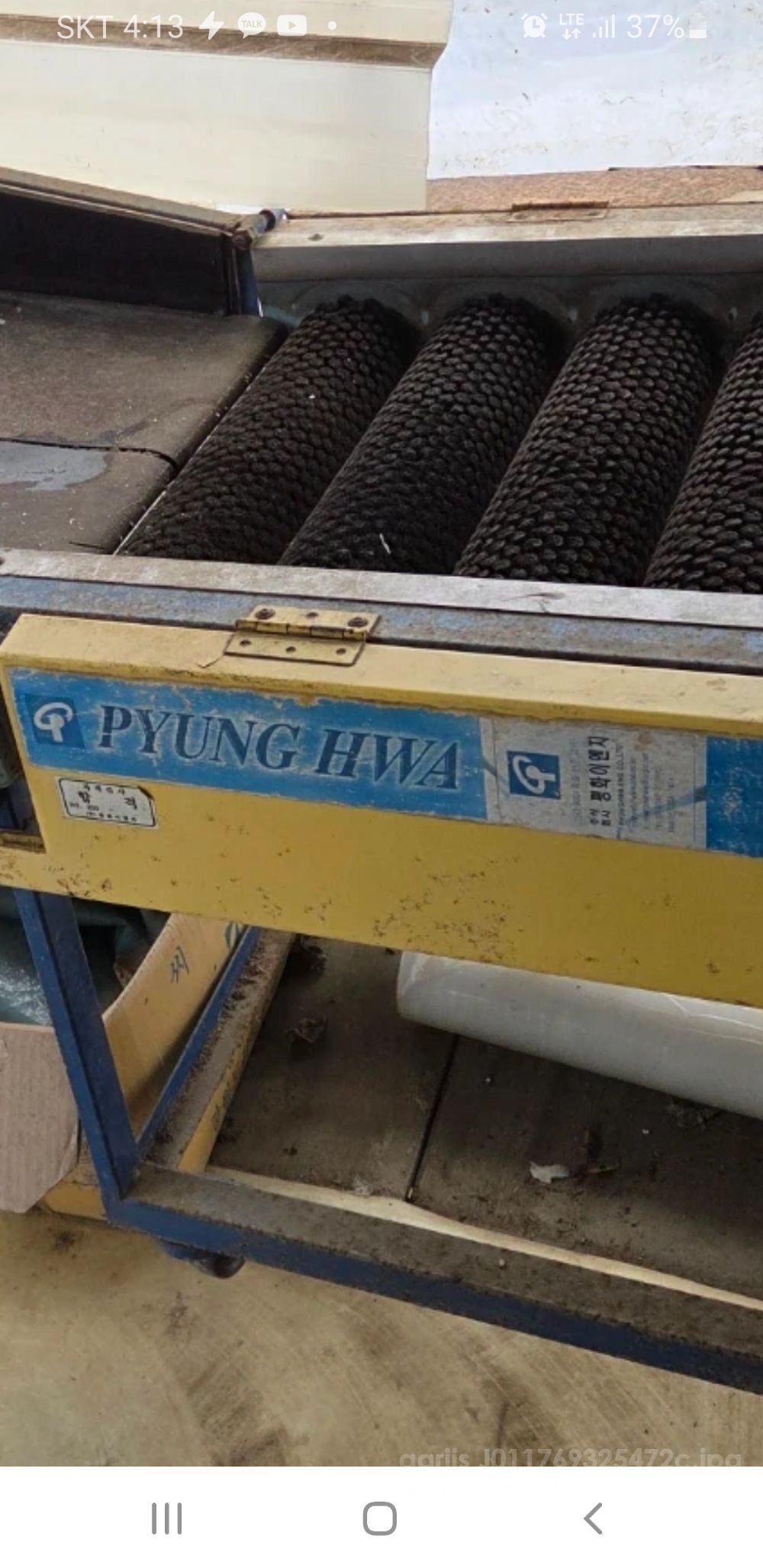 평화이엔지 방울토마토 선별기 .