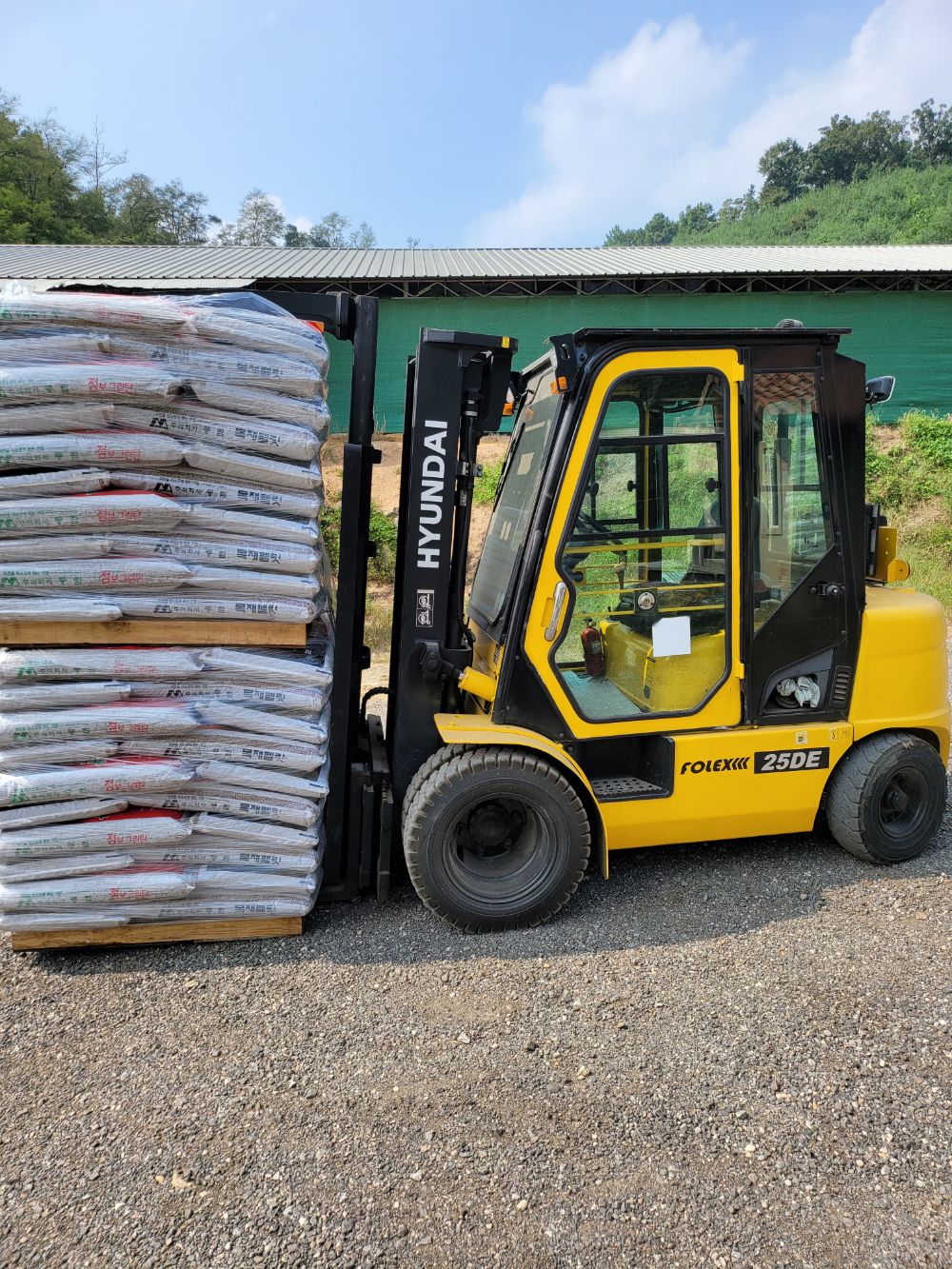 Hyundai Forklift 25DE (2.5톤)