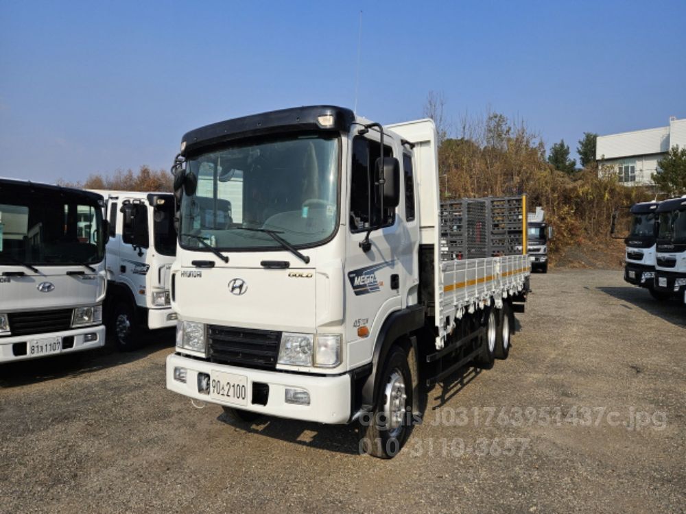 Hyundai 메가트럭 6M25 자동사다리 메가트럭6M25초장축앞축 