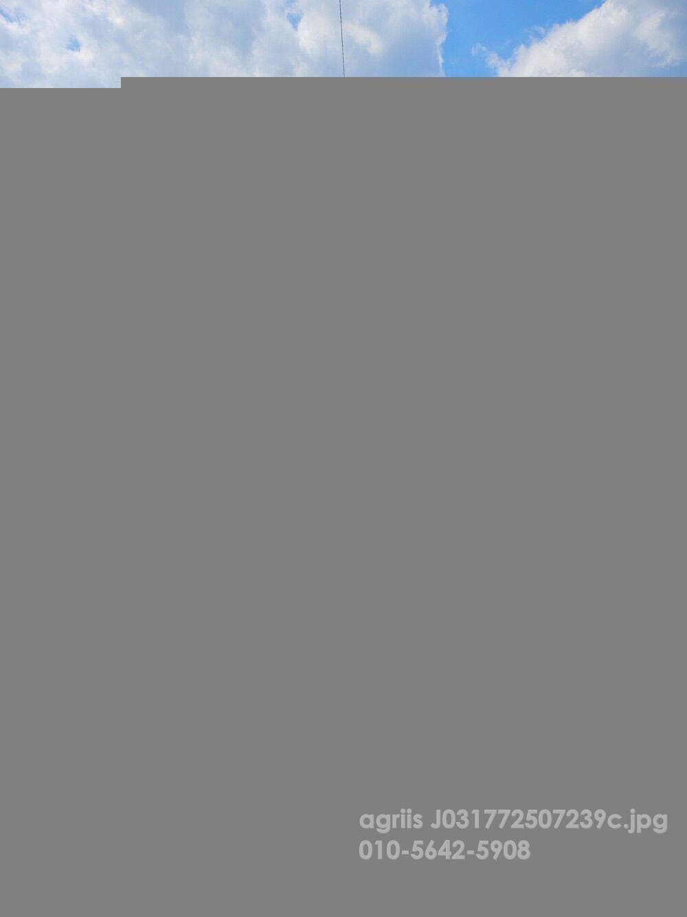 국제 트랙터 LUXEN1100E (111마력)