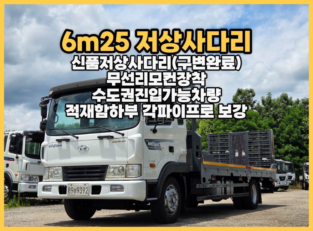대우 메가트럭5톤 6m25초장축저상사다리