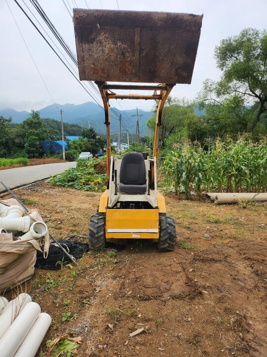  Skid steer loader DE1900 