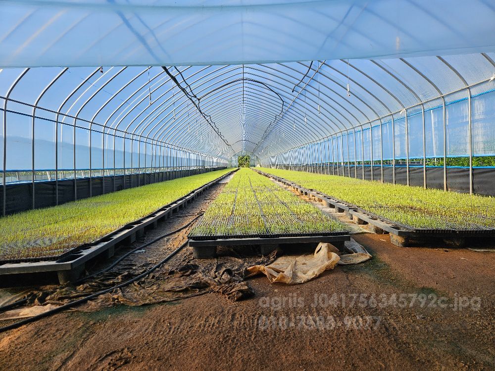  죽암448트레이 죽암448트레이