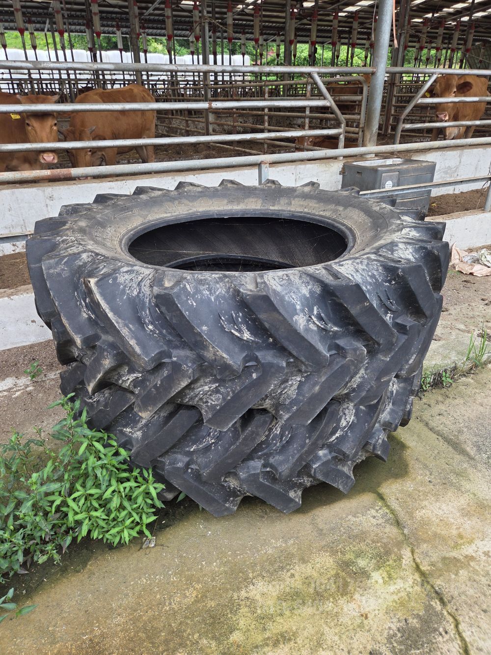 TYM Tractor S1070 (106hp)