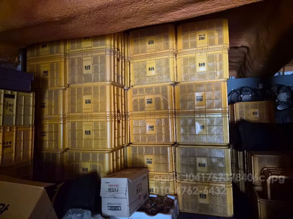 곤태이나박스 박스 박스