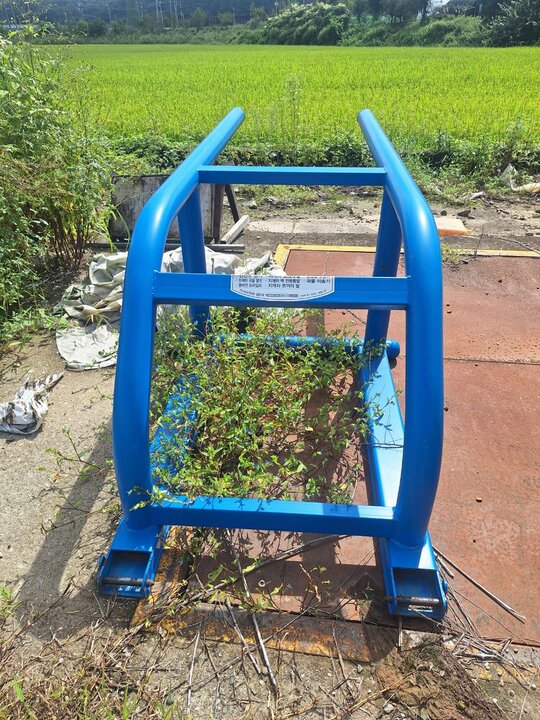  코끼리지게발 코끼리지게발 