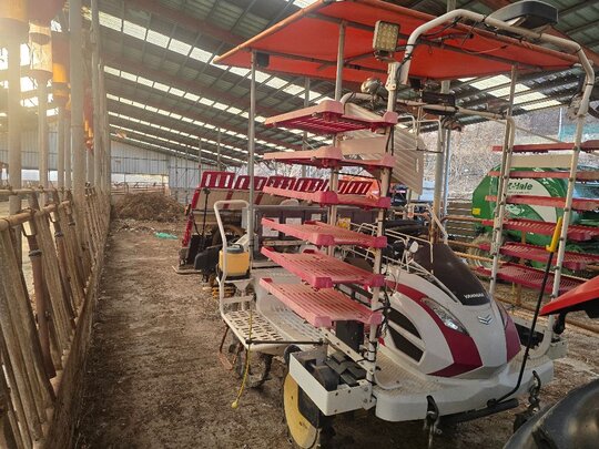 Yanmar Rice transplanter YR6D (6Rows)