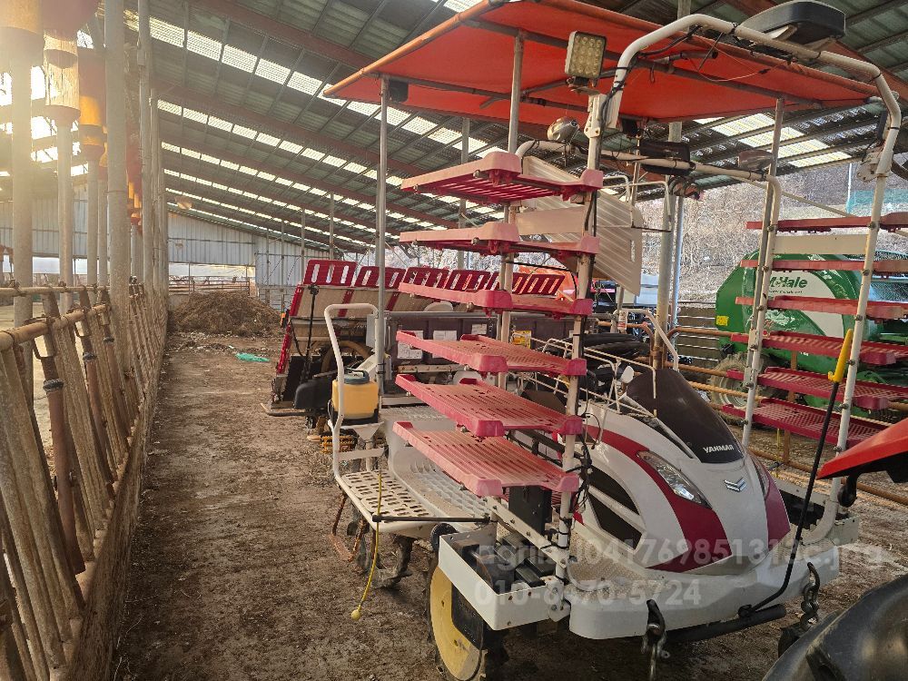 Yanmar Rice transplanter YR6D (6Rows)