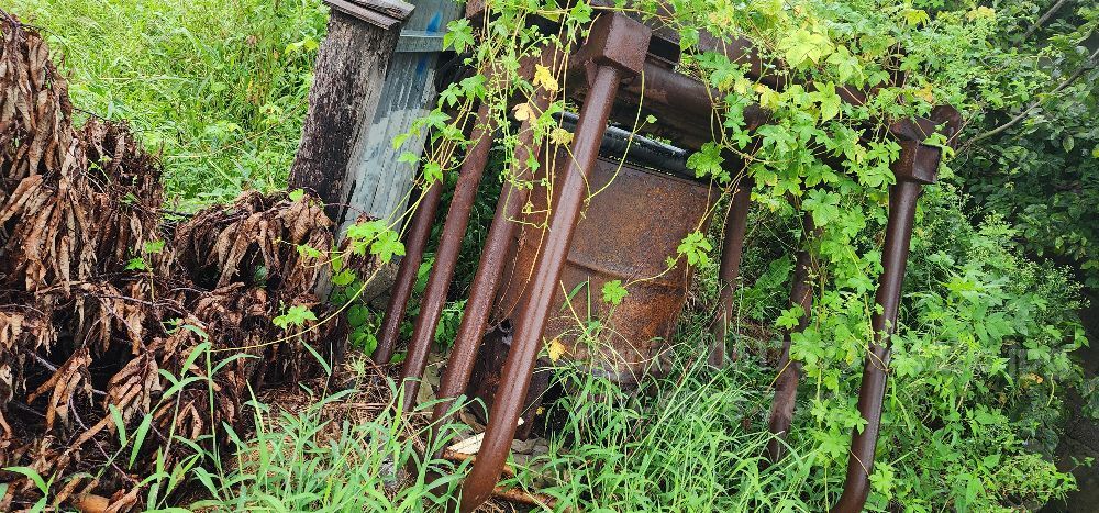 원형 일자 일자형 원형 집게 없음