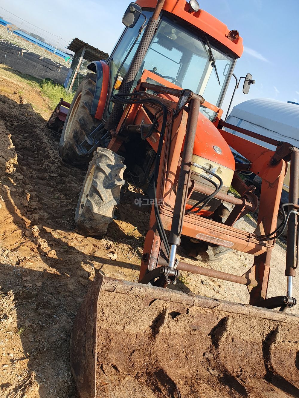 Daedong Tractor D651 (65hp)