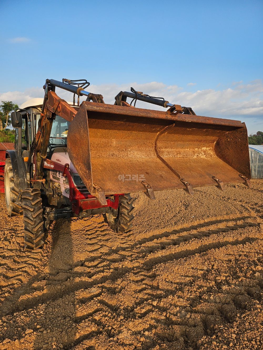 TYM 트랙터 T502 (50마력)