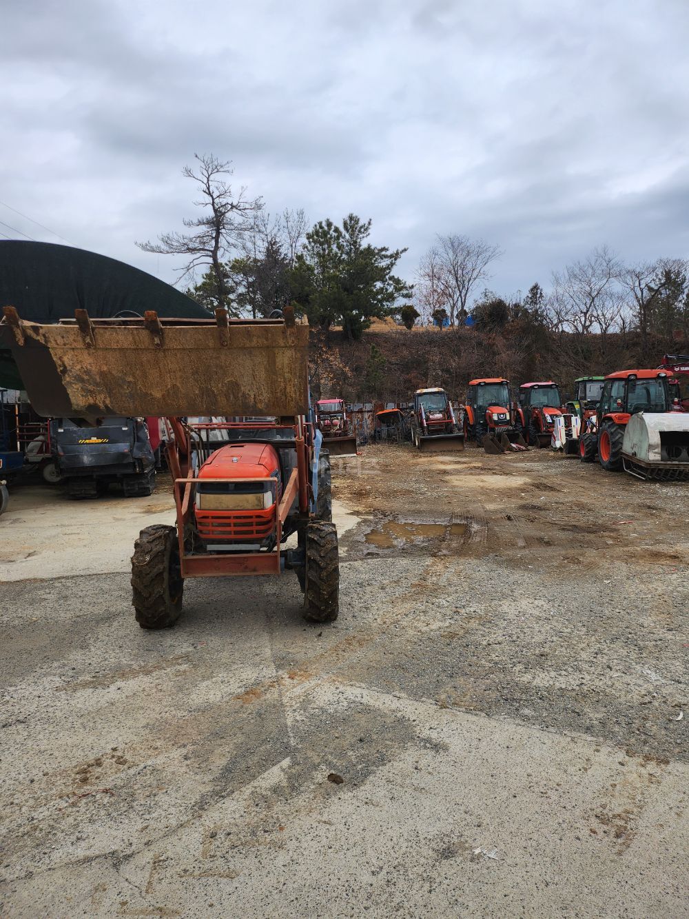 Daedong Tractor D43 (43hp)