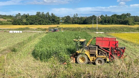 NewHolland 뉴홀랜드 300 옥수수 전용기 