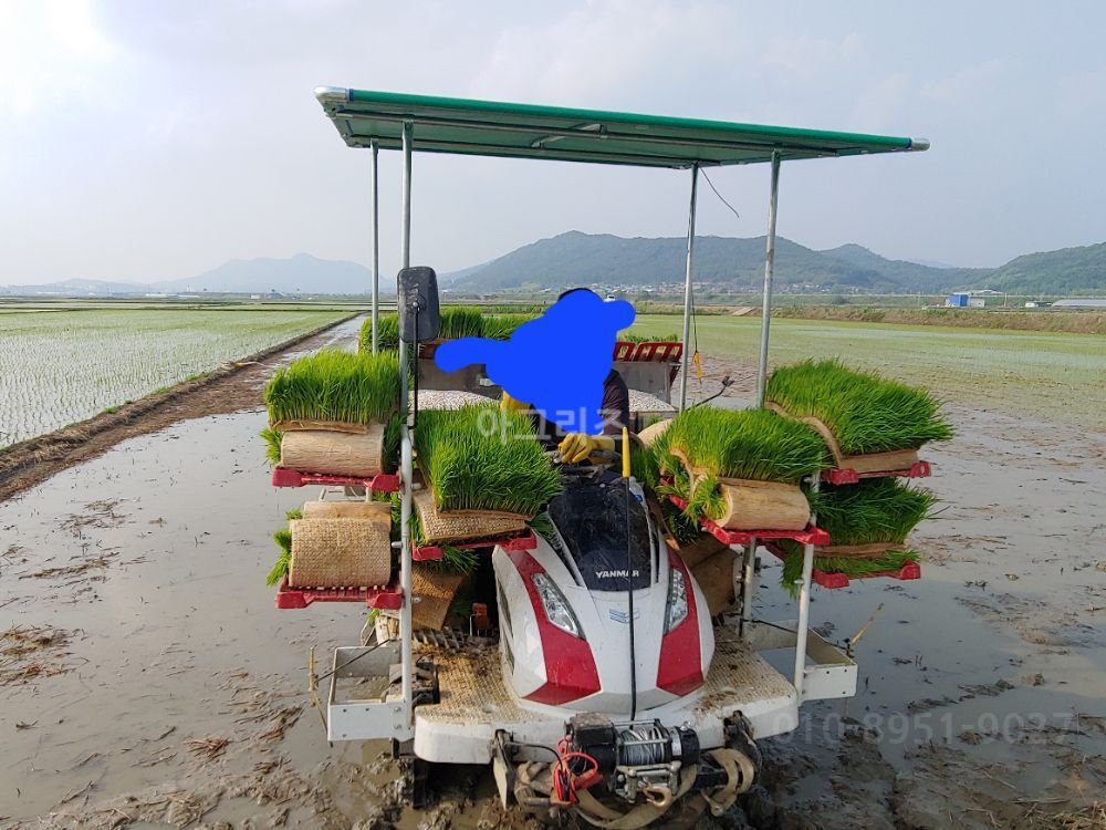 얀마 이앙기 YR60D (6조식)