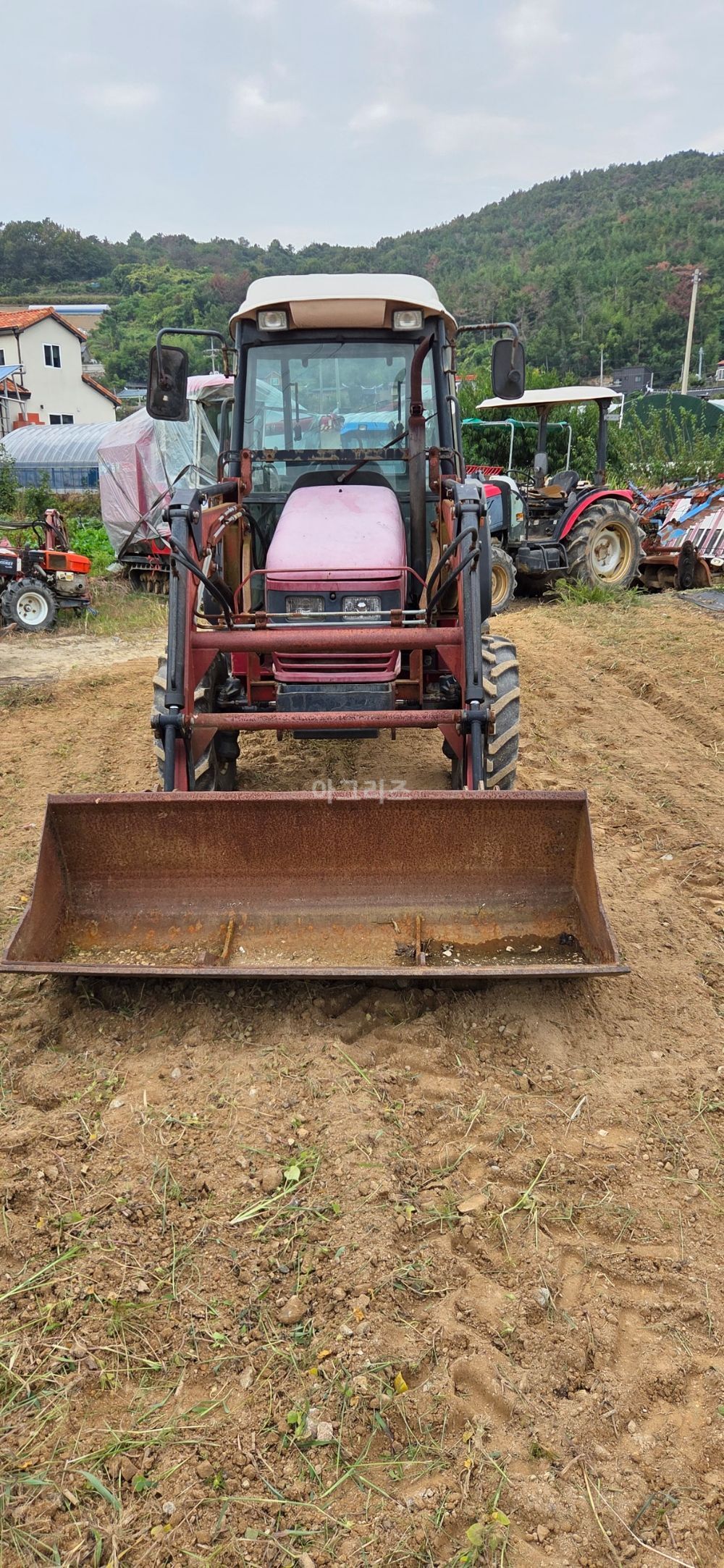 TYM 트랙터 T431 (43마력)