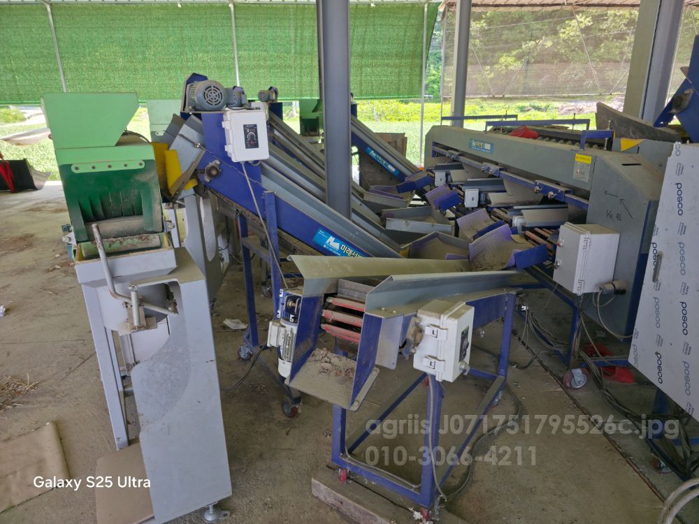 양파 감자 선별기 선별기 미래