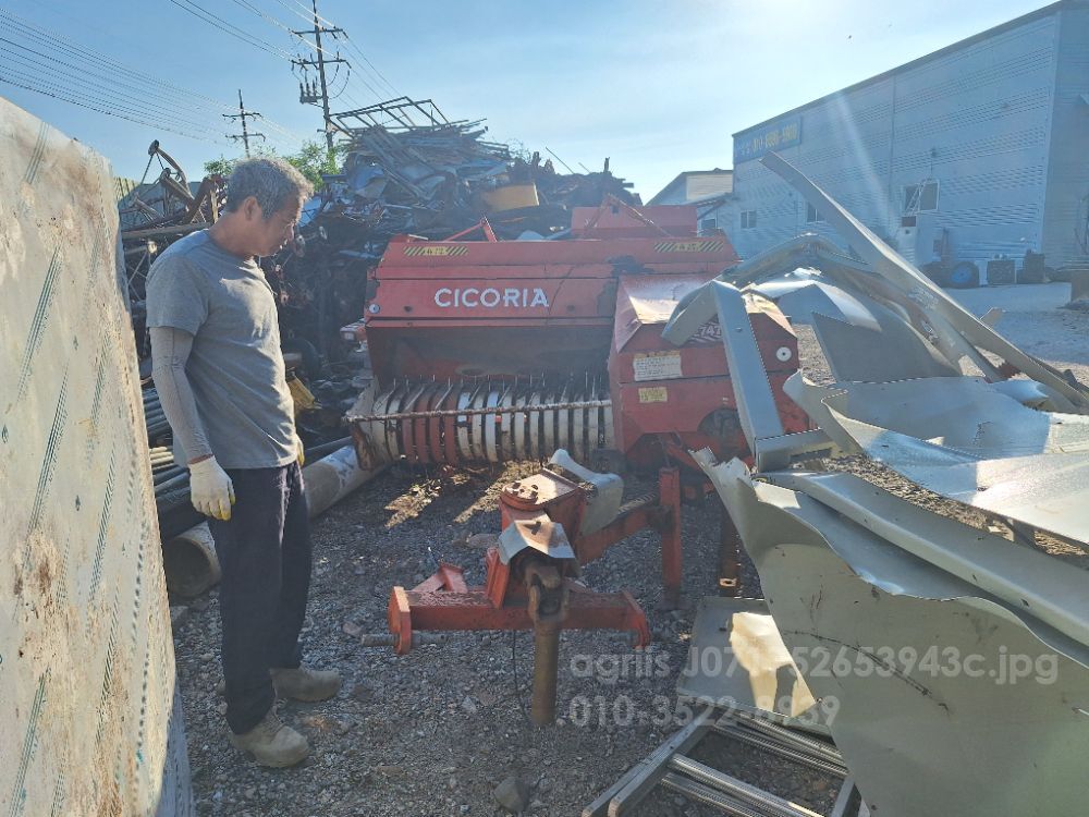 명성 사각베일러 카시바