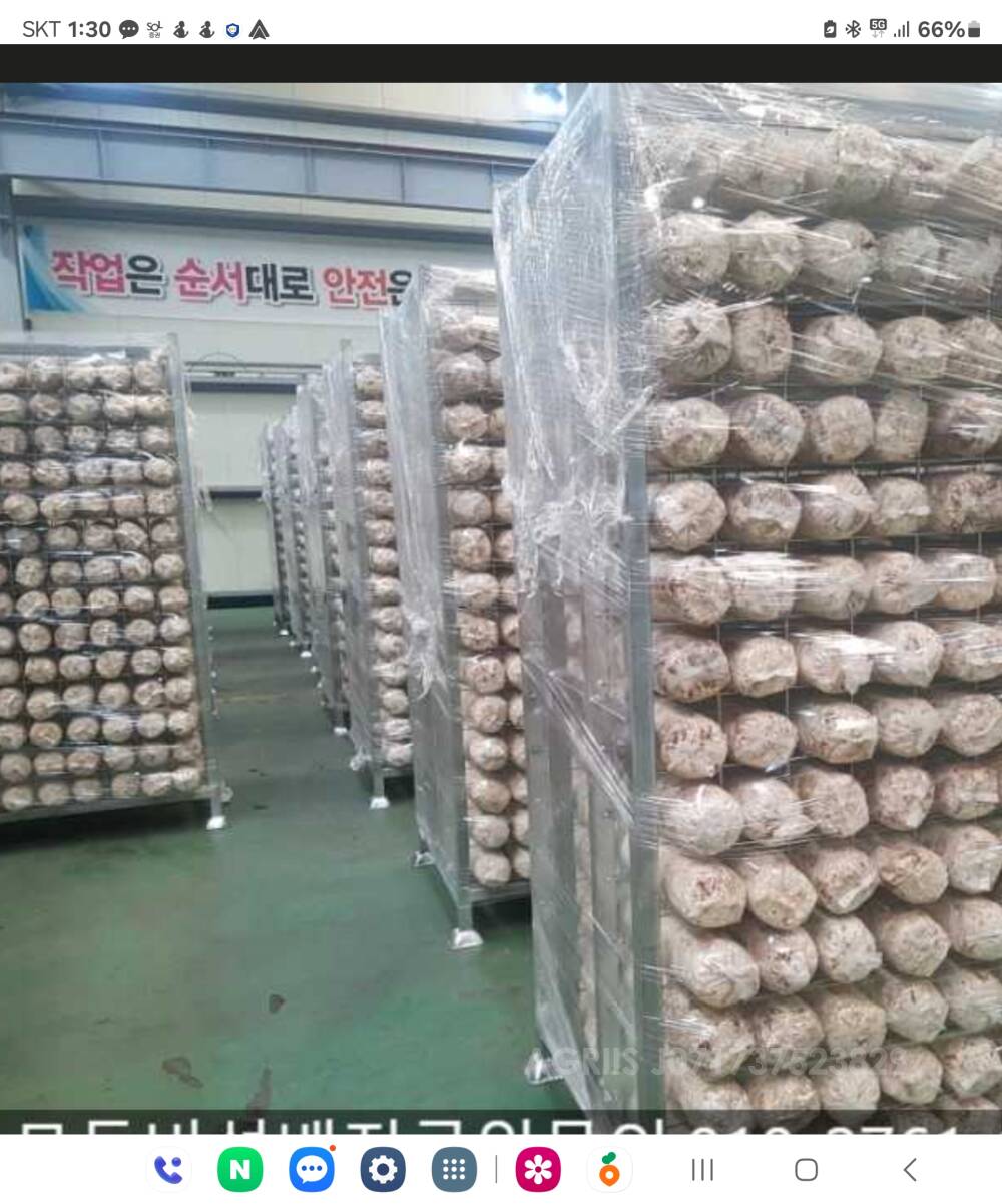 버섯배양배지털 배양대 표고버섯외 각종버섯 배지대 미사용팔아요 표고버섯외 각종버섯 배지대 미사용팔아요