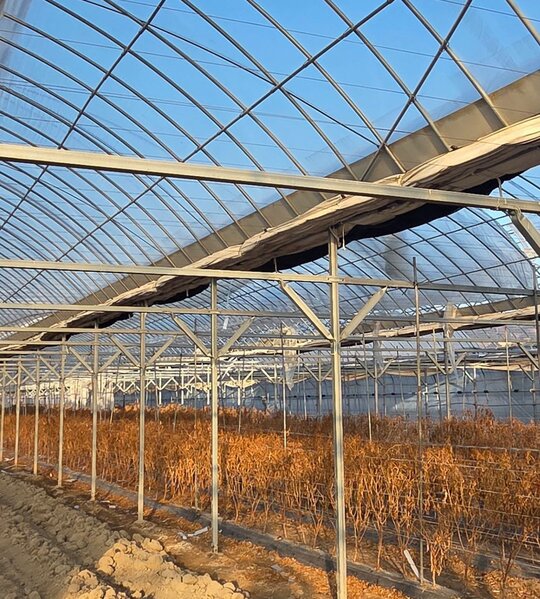  비닐하우스900평 연동하우스 900평 연동비닐하우스 전체 